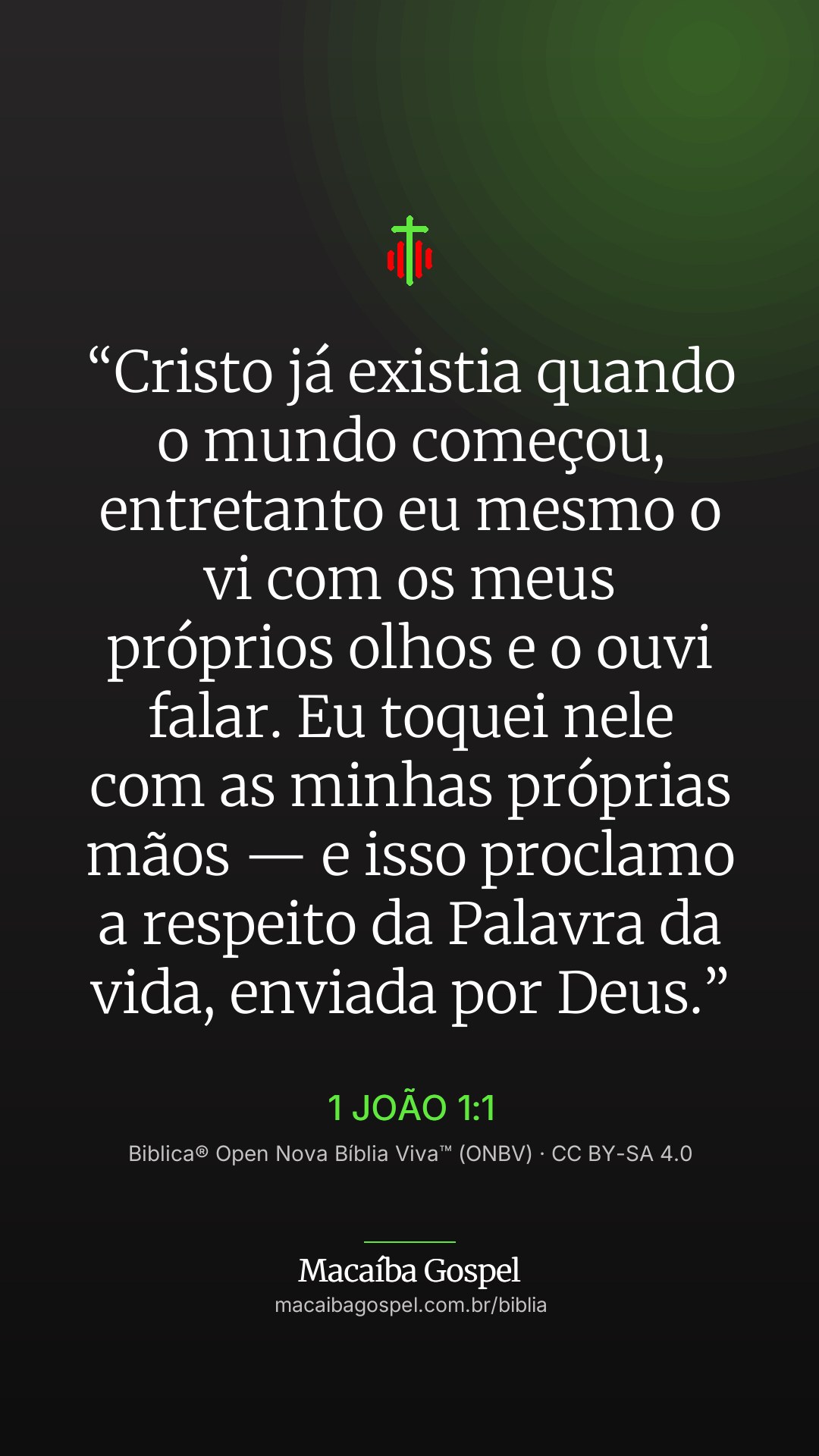 Imagem do versículo 1 João 1:1, formato vertical (status e stories)