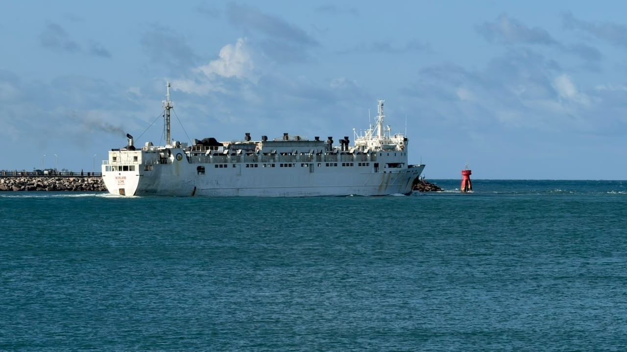 1 de 1Gados foram embarcado com destino à Arábia Saudita — Foto: Kleber Teixeira/Inter TV