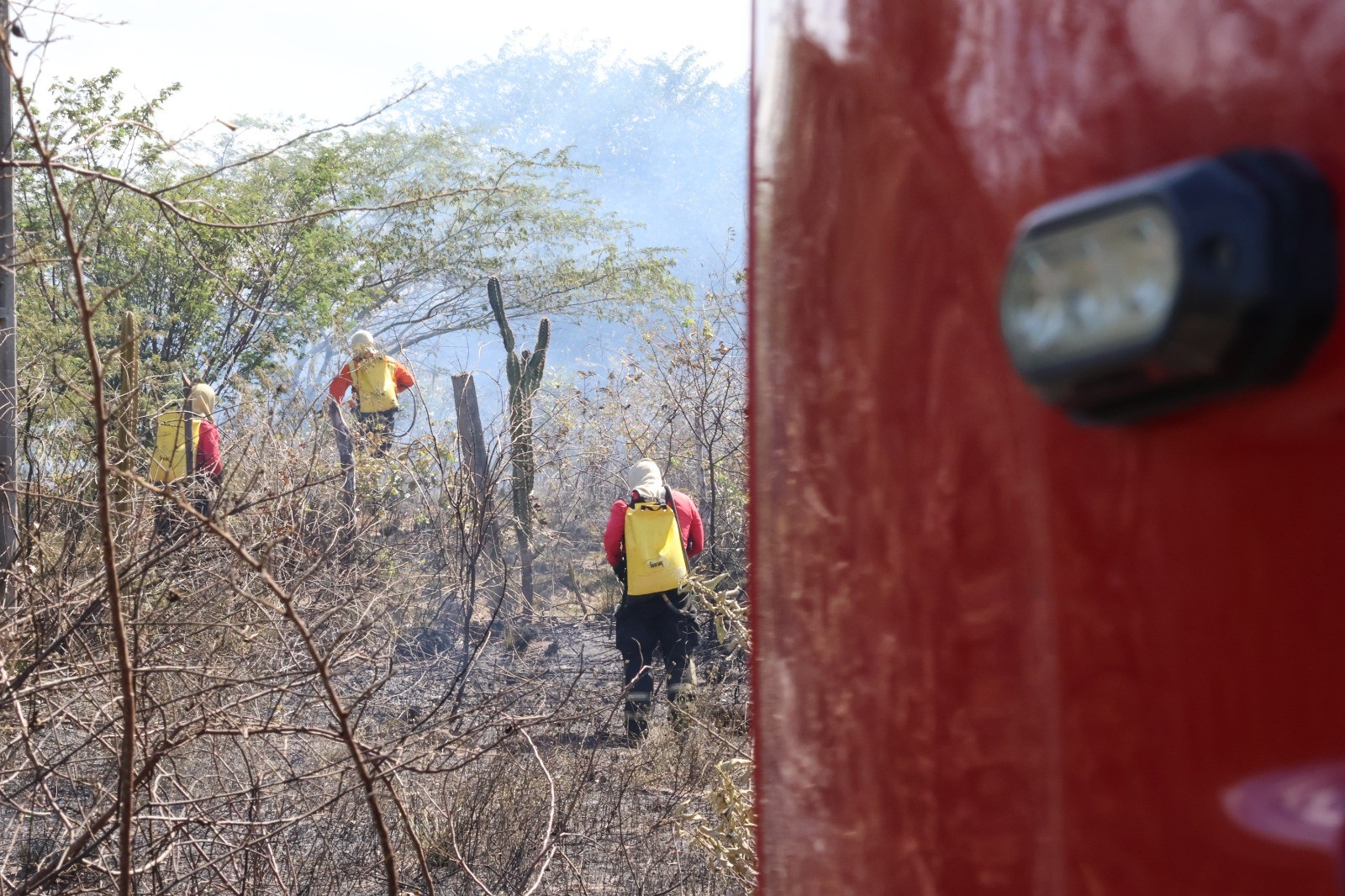 1 de 1Incêndios em vegetação aumentam no RN — Foto: Divulgação / CBMRN