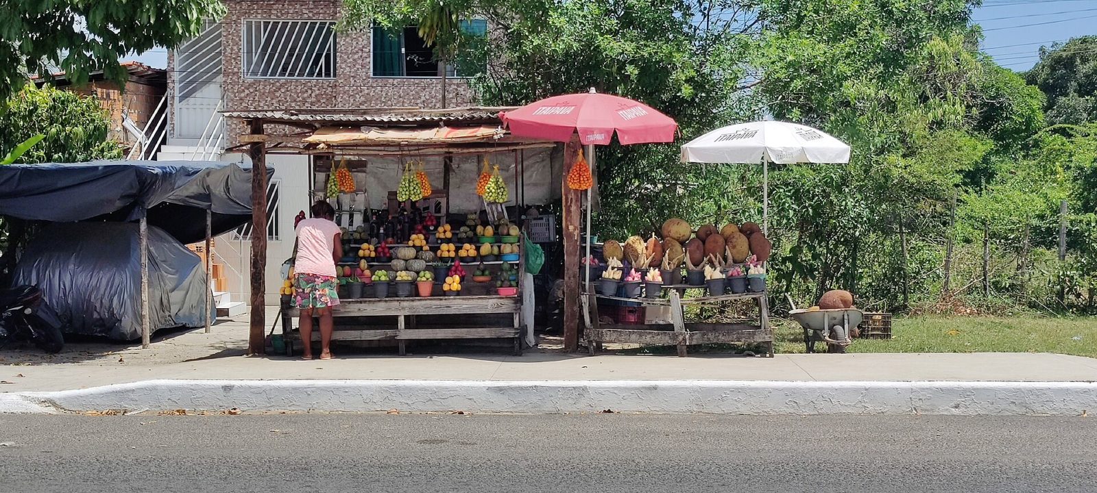 Foto ilustrativa: banca de frutas em Santo Amaro (BA)